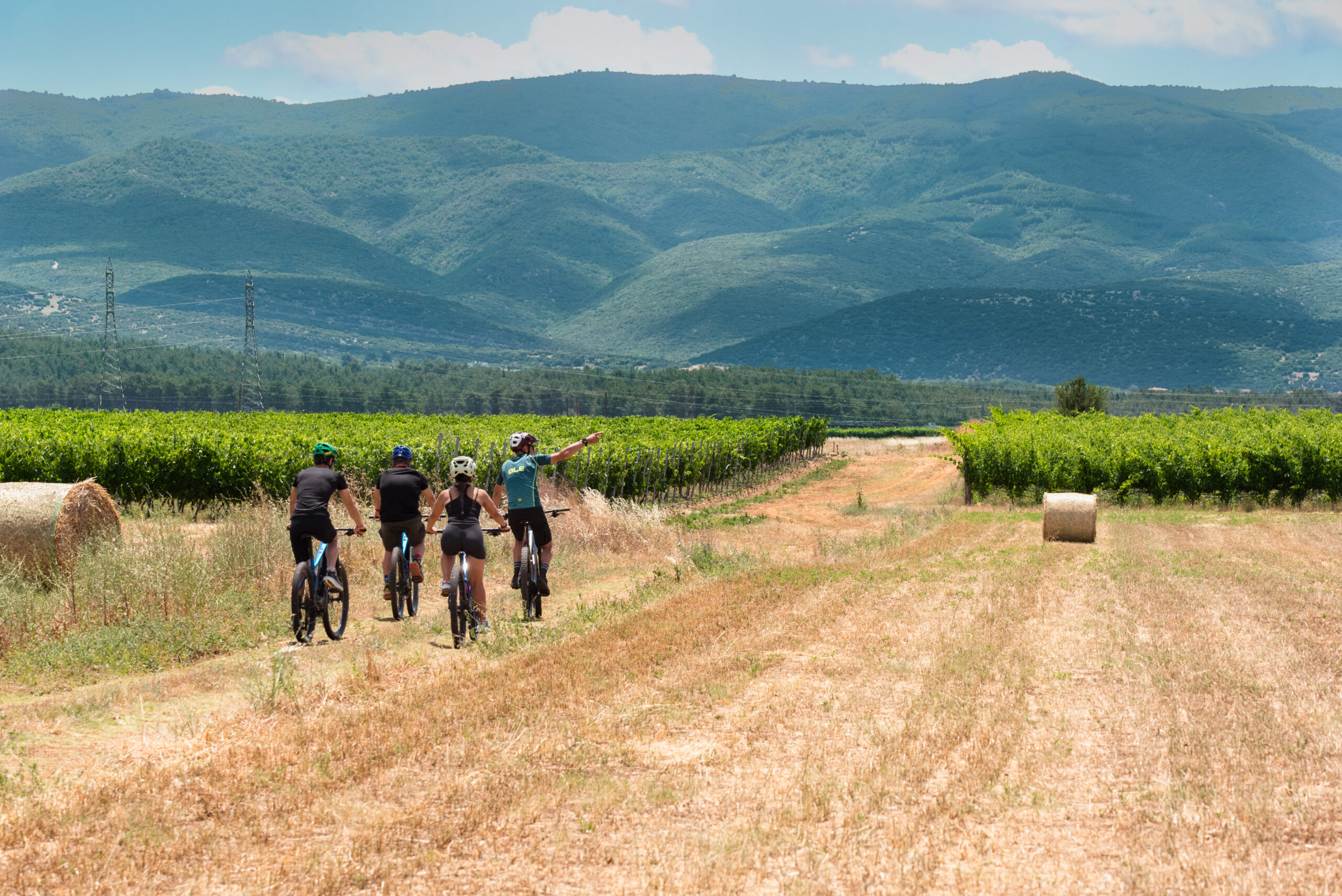 Four people biking in a field.